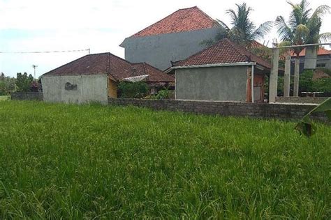 Akibat Alih Fungsi Luas Lahan Sawah Di Aceh Barat Berkurang