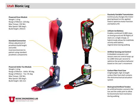 Utah Bionic Leg in Science Robotics - Mechanical Engineering | University of Utah