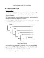 Lab Assignment 6 Non Vascular Seedless Plants 2020 Docx Lab