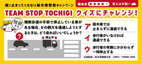 横断歩道の手前で停止している車の側方を通過するとき、どう走ればいいでしょうか？｜クイズにチャレンジ｜team Stop Tochigi｜下野新聞デジタル