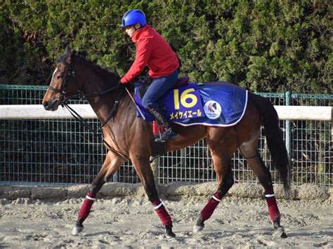 【高松宮記念】すっかり従順に 池添＆メイケイエール折り合いスムーズ馬三郎のつぶやき 競馬ニュース Netkeiba