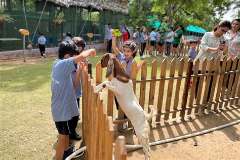 Petting Zoo Pathways World School Gurgaon