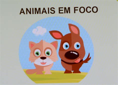 Campanha Visa Sensibilizar A Respeito Dos Direitos Dos Animais