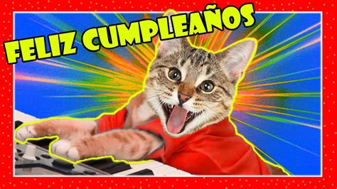 Feliz Cumpleaños Con Gatos Excelmoms