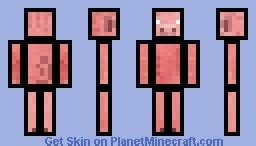 Pig Black OutLines Minecraft Skin