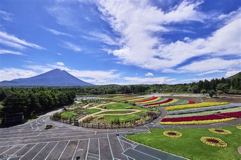 Rainbow Flower Festival - Klook