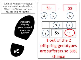 Module 6.2: Patterns of inheritance (OCR A-Level Biology A) by GJHeducation | Teaching Resources