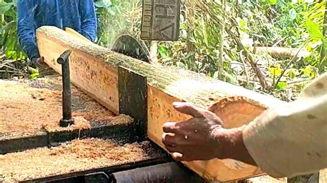 Aksi Menakjubkan Cara Terbaik Proses Penggergajian Kayu Waru Bahan