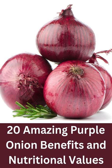 Amazing Purple Onion Benefits And Nutritional Values Artofit