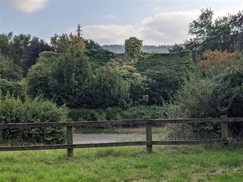 Hedge At The Old Vicarage Canon Pyon © Fabian Musto Cc By Sa20