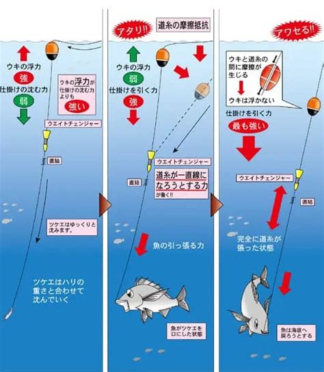 【チヌウキフカセ釣り入門】初心者におすすめの道具や仕掛けを紹介｜沖縄釣り好き全員集合！