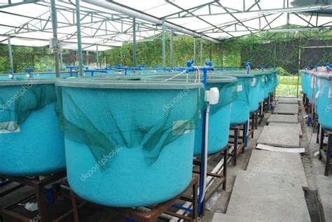 Agriculture Aquaculture Farm Stock Photo By ©panxunbin 3590372