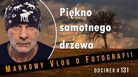 Pi Kno Samotnego Drzewa Fotografia Krajobrazowa Kr Tki Plener W