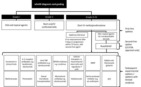 Overview Of Treatment Options For Acute Graft Versus Host Disease