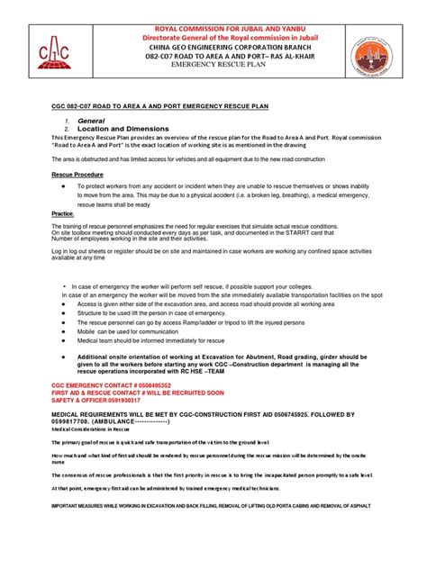 Rescue Plan Template