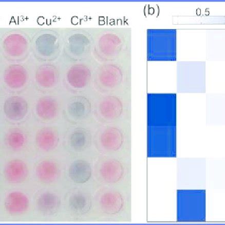 A Representative Photograph Of The Colorimetric Sensor Array Response