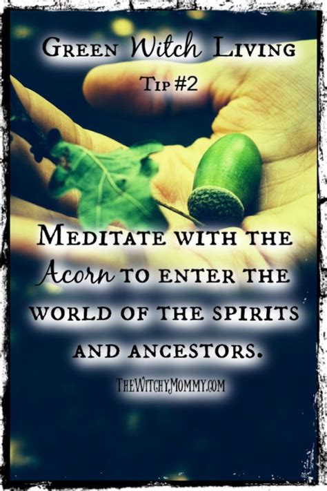 Green Witch Living Tips Meditate With The Acorn To Enter The World Of