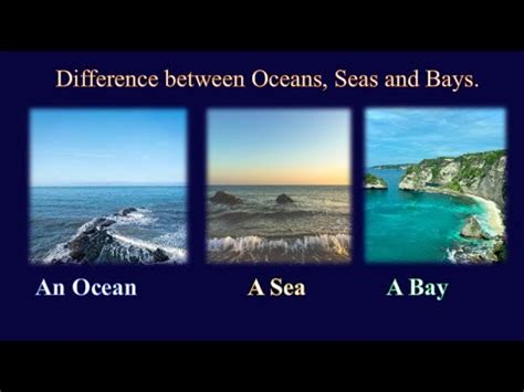 Difference Between Oceans Seas And Bays Youtube