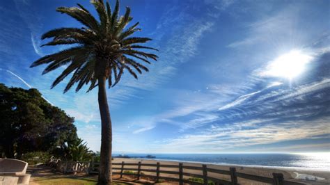 Green Leafed Tree Beach Clouds Palm Trees Sea Hd Wallpaper