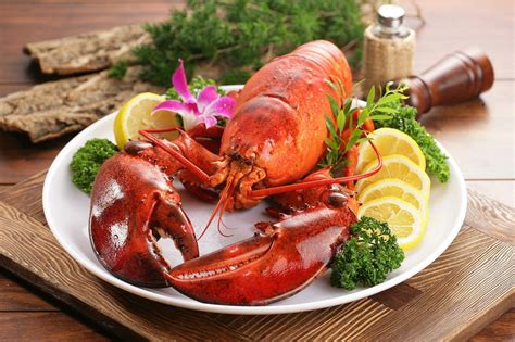 Comment Conserver Un Homard Vivant 2 Jours Lestoquesdardeche Fr