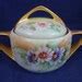 Vintage S Hand Painted Rosenthal Bavaria China Floral