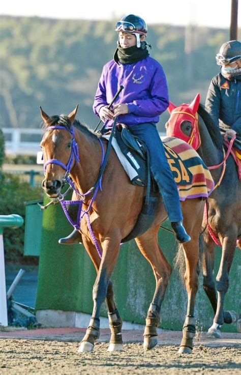 【pog】ビッシュ初陣vへ好仕上がり競馬・レースデイリースポーツ Online