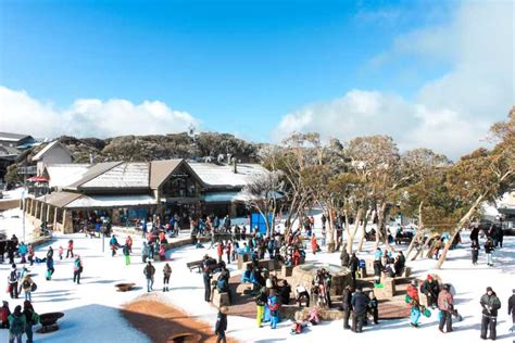 From Melbourne Mount Buller Guided Day Tour Getyourguide