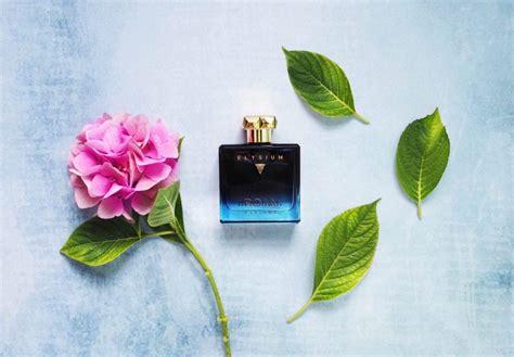 Fragrance: Roja 'Elysium' - Fashion For Lunch.