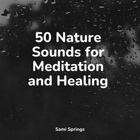 50 Loopable Rainstorm Sounds For Meditation Album By Spa Spotify