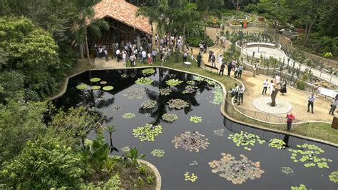 Jardín Botánico de Cali abre sus puertas al público YouTube