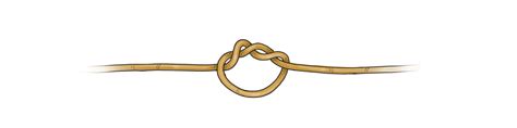 How To Tie The Slim Beauty Knot