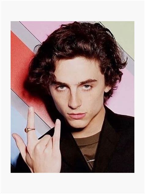 Timothee Chalamet Sticker By Elliehart Redbubble