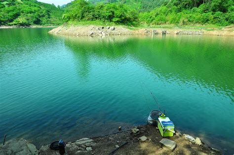 中國淡水釣魚類型與釣竿選用指南——野釣手竿篇 〔4〕：浮釣翹嘴 每日頭條