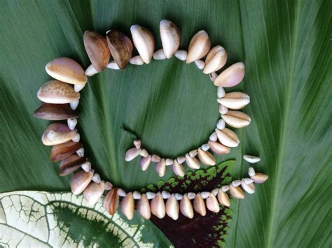 Hawaii Shell Necklace Kauai Cowrie Necklace Honey Cowrie