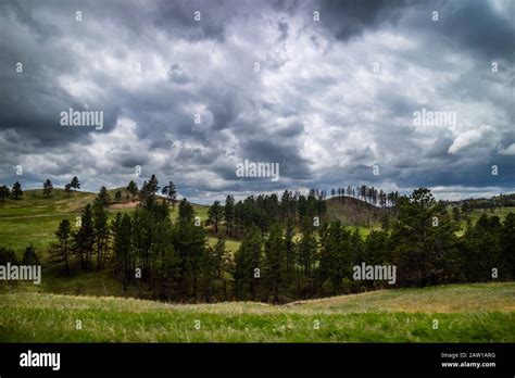 An Overlooking Landscape View Of Custer State Park South Dakota Stock