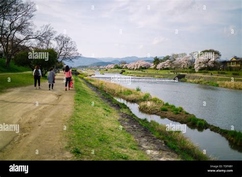 He Kamo River Is Located In Kyoto Prefecture Japan The Riverbanks Are