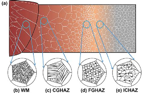 Schematic Illustrations Of Heterogeneous Microstructural Variation A