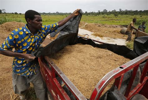 How Inflation Made West Africa’s Prized Jollof Rice A