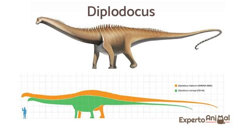 Tipos De Dinosaurios Herbívoros Nombres Características E Imágenes