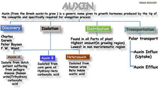 Auxin hormones | PPT