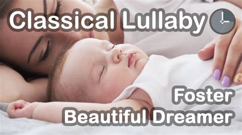 Classical Baby Lullaby Foster Beautiful Dreamer Music Box YouTube