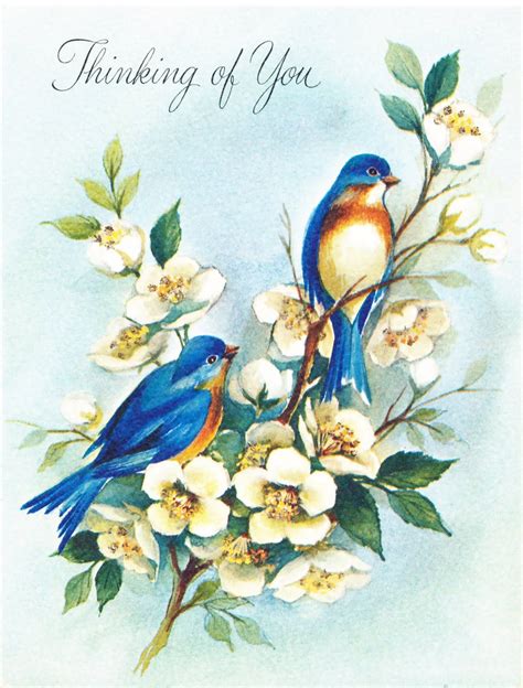 Collage Candy: Bird images from vintage greeting cards | Vintage birds, Vintage greeting cards ...