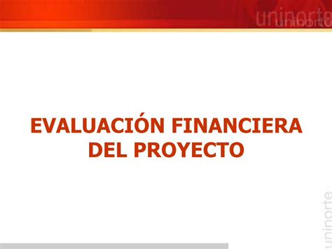 PDF EVALUACIÓN FINANCIERA DEL PROYECTO ucipfg Representa la