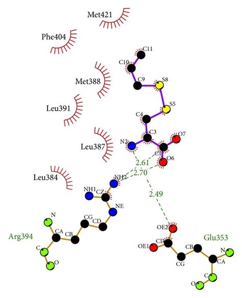 Ligplot Illustrates The Protein Ligand Interactions A Raloxifene Download Scientific Diagram