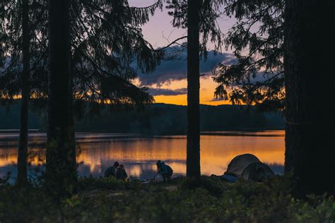 People Camping With A Gold Sunset Through Forest Trees At A Tranquil