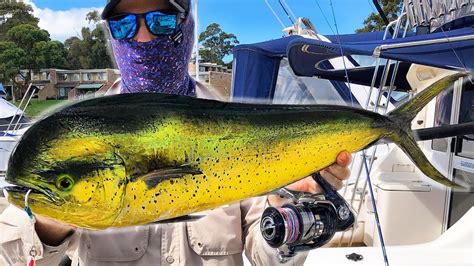 Fishing For Mahi Mahi In Australia Youtube