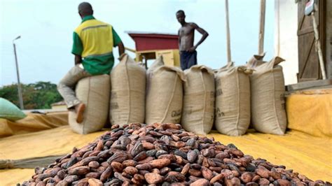 Making Chocolate Can Give Ghana A Taste Of Prosperity