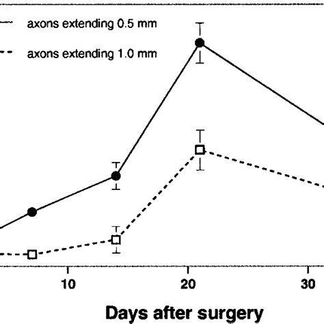 Time Course Of Axon Growth Into The Distal Optic Nerve After Nerve