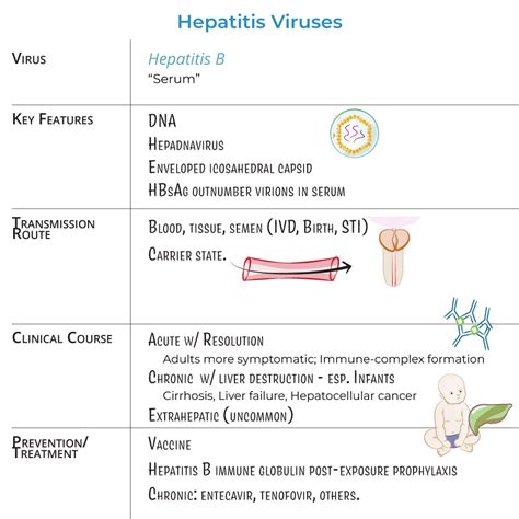 Immunology Microbiology Glossary Viral Hepatitis All Types Ditki