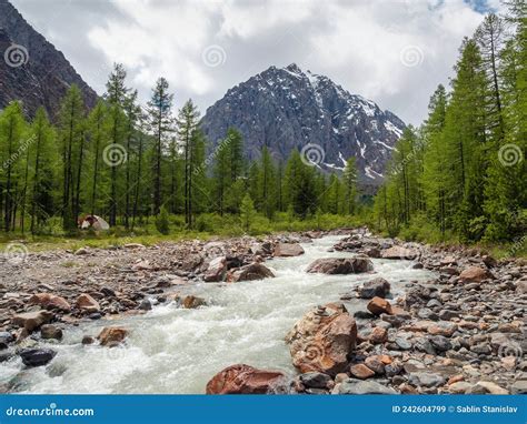 Paysage Incroyable Avec Une Rivi Re De Montagne Puissante Et La For T